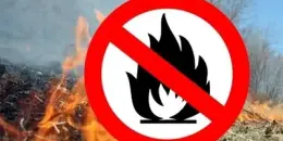 МЧС предупреждает: не сжигайте сухую растительность!