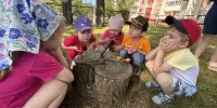 Станция экологической тропы "Лес"