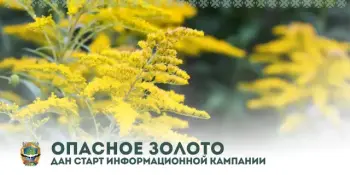 Стартовала информационная кампания "Опасное золото"