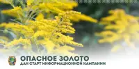 Стартовала информационная кампания "Опасное золото"
